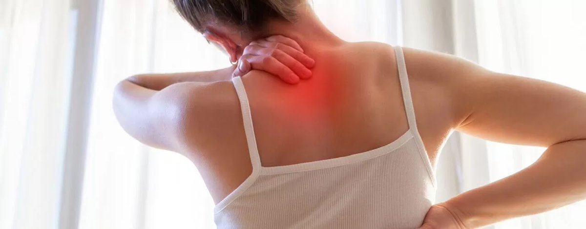 Trademarkpc's tweet photo. A herniated disc refers to an issue with one of the rubbery cushions that are in between the vertebrae. A spinal disc has a soft jellylike interior with a tougher exterior.

https://t.co/02JWYXoUwh

#TrademarkPerformance #physicaltherapy #physicaltherapist #herniateddisc https://t.co/nmzya2T0iK