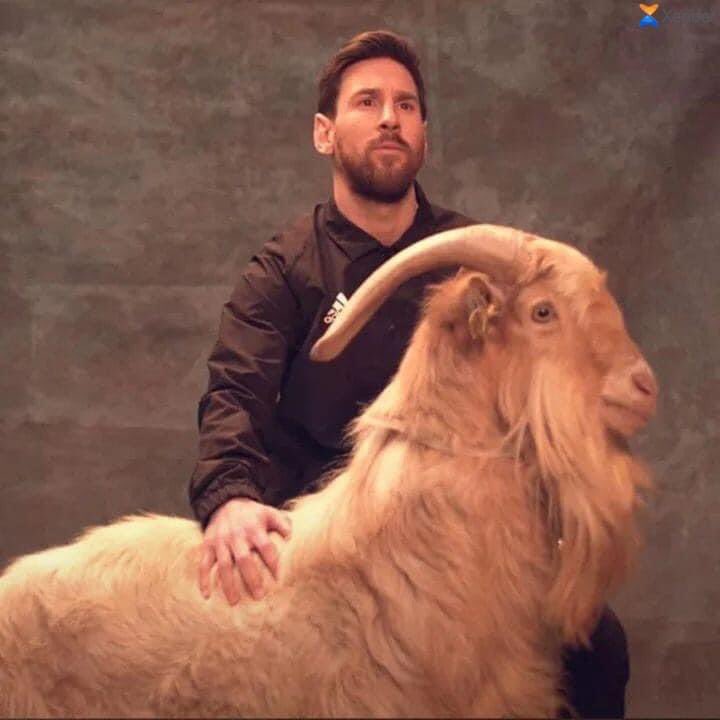 Frederick_o711's tweet photo. Some GOATS 🐐are killed ⚔️by Arabians for Salah.........while some 🐏Climbs the Highest mountains and stays at the Top of it..... #CongratulationsMessi 🇦🇷❤️ https://t.co/PiNTTLmTc1