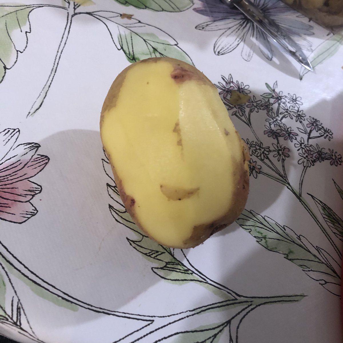 terharmsel's tweet photo. Zo goed kan #dwarrel piepers jassen. En #banjer helpen met aardappelen geven, siepeln schillen én worteltjes knabbelen https://t.co/LBRA7q9OW0