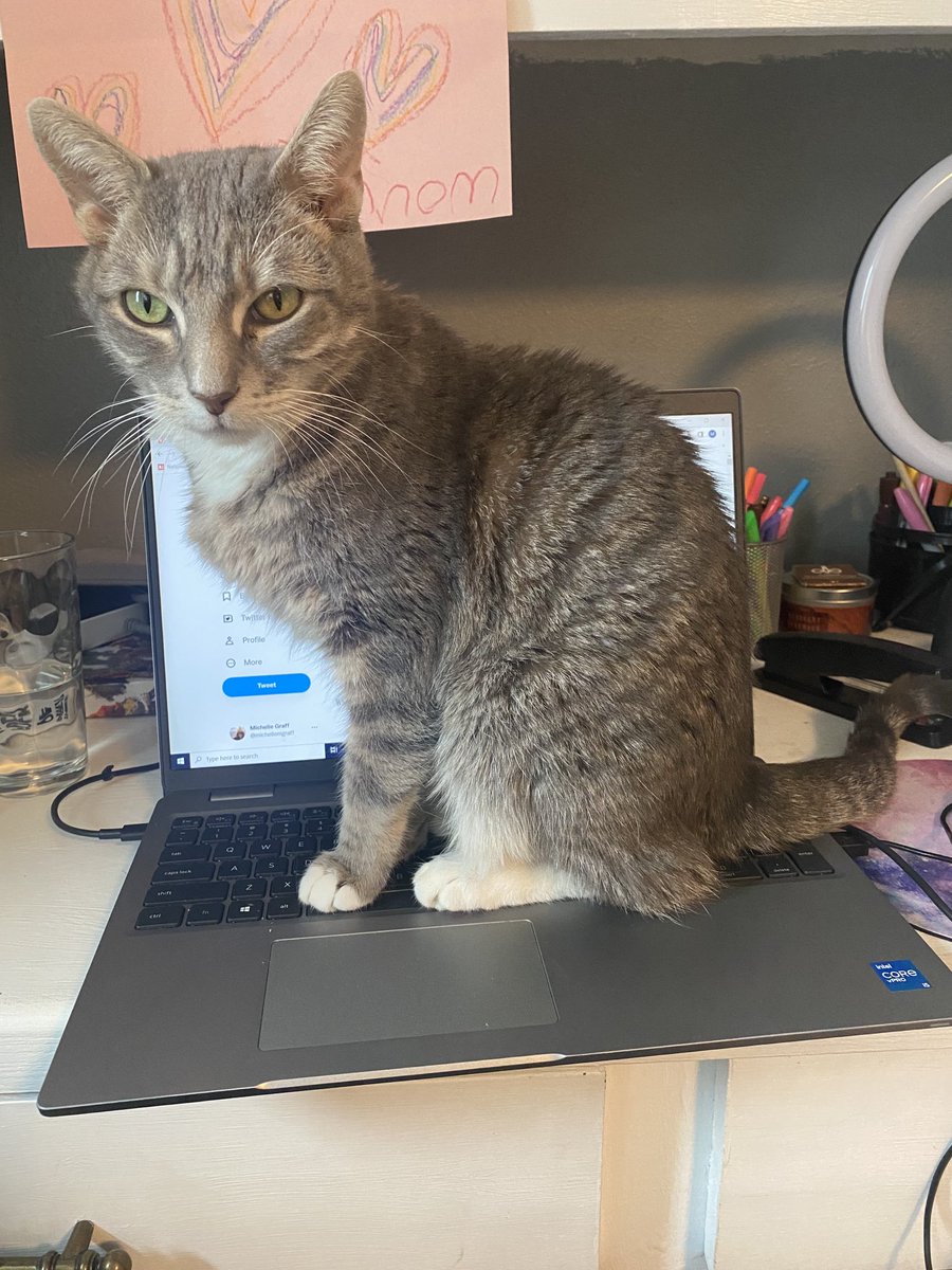 Michelle Graff tweet media