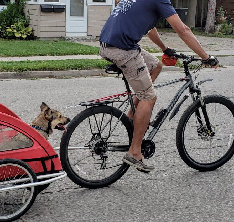 Special thanks to the Guelph Police who went the extra mile to ensure Khal got his bike back. 'They recognized the person in CCTV footage from my workplace security. Found the person and arrested her (I hope her life gets better) and I got my bike back. project529.com/garage