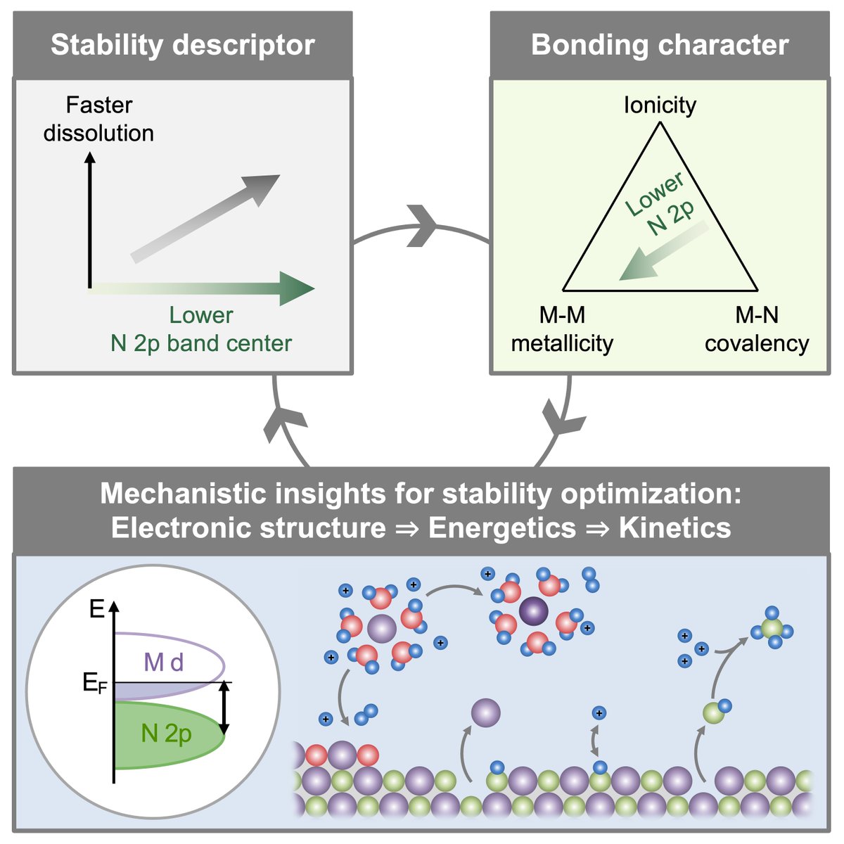 Transition metal #Nitrides suffer from severe #Dissolution in acid, causing #Catalyst degradation (e.g., in ORR) and false positives (e.g., in N2RR). In <a href="/Joule_CP/">Joule</a>, we develop #DesignPrinciples to stabilize nitrides in acid (e.g., for #Electrocatalysis). ⚡️ doi.org/10.1016/j.joul…