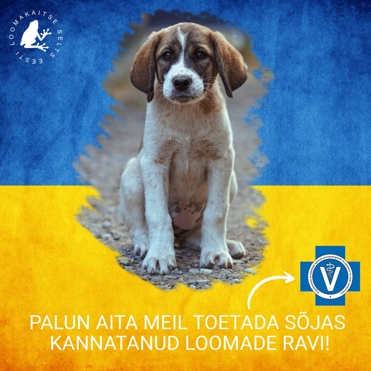 🇺🇦 Toeta Ukraina Väikeloomaarstide Seltsi, et aidata ravida sõjas kannatavaid loomi, kandes sobiv annetus Eesti Loomakaitse Seltsi kontole, selgitusega "USAVA":
LHV Pank – EE977700771001365439
SEB – EE791010002019856000
SWED – EE332200221041248998
