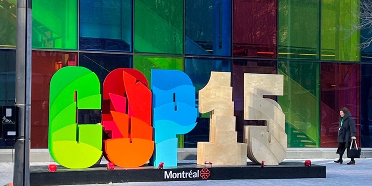 A reflection by our Secretary General <a href="/GauthierJCIDSE/">Josianne Gauthier</a> following her participation in the #COP15 

🗣️ "In short, moving forward on biodiversity justice will require continued commitment to decolonisation and healing broken relationships"

➡️ cidse.org/2022/12/19/com…