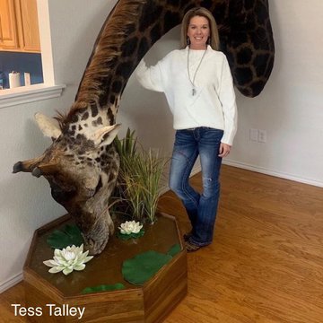 MikeHudema's tweet image. Why does the world still allow trophy hunting? We&apos;ve done so much harm already. RT if you think there should be a worldwide ban on this barbaric practice.

Nature is amazing. Protect it. 

#ActOnClimate #climate #TrophyHunting #nature #rewilding #GreenNewDeal #cop15