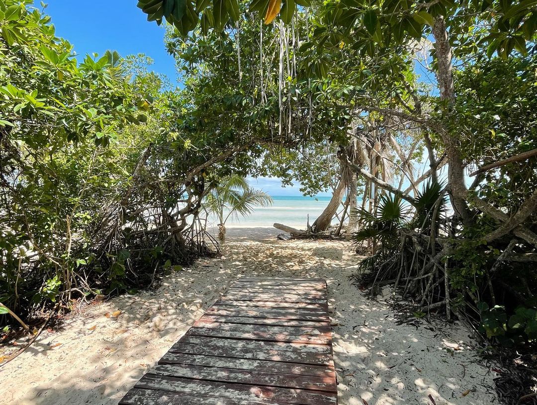visitacaribemex's tweet photo. Durante tu viaje a @VisitChetumal, reserva un tour en lancha hacia #IslaTamalcab, un paraíso virgen de aguas poco profundas y mucha 𝗯𝗲𝗹𝗹𝗲𝘇𝗮 𝗻𝗮𝘁𝘂𝗿𝗮𝗹.😎☀
¡Te sorprenderá! 🙌
🌐: https://t.co/yS4vMxa6fo
📸: eugeniacicero vía IG
#CaribeMexicano #Chetumal https://t.co/I9NFvNMCkU