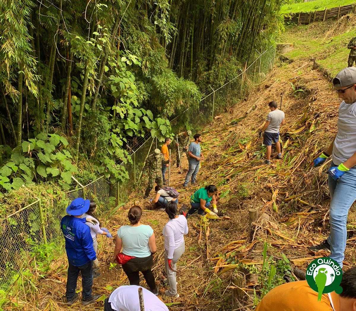 Hace unas semanas sembramos 100 árboles 🌳🍃 en el Conjunto Residencial “Entre Lomas”, con el objetivo de realizar un proceso de revegetabilización, para restablecer la cobertura vegetal y mejorar las condiciones de resistencia del suelo 💚.
#árbol #Quindío #HagamosEco