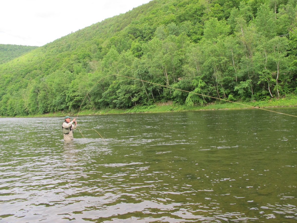 FFFTmag's tweet photo. Fly the flag: read about the French dry fly that stands out on wide, fast-flowing rivers, and also is deadly fished static for wild loch trout.
#wildtrout #fastrivers #frenchdryflies #dryflies #dryfliesonly #charlesritz #jeanpaulpequegnot #laloue #doubs #hackles https://t.co/9NanStX5t8