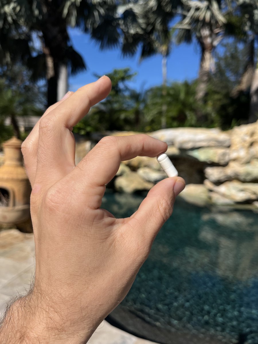 Fellas, don't sleep on Lcarnitine How this amino acid can help you get