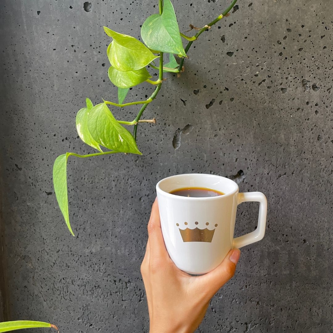 Hey friends! Unfortunately, we will be closed today, Monday, December 19th. A number of our staff have gotten sick. We’re going to take the day to rest and heal and have The Tasting Room open for you all tomorrow. Stay safe out there everyone :)