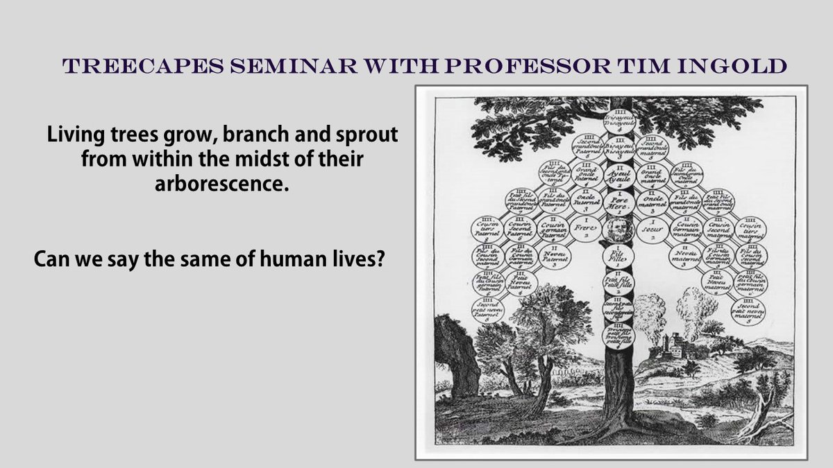 Treecapes Seminar with Professor Tim Ingold When: 19th January, 2023 (12:00-1:00pm) GMT Where: Online (free event) Register here to join us: eventbrite.com/e/treecapes-se…