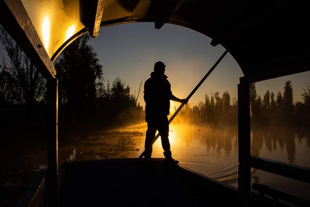 Lycaones's tweet photo. Amanecer en Xochimilco https://t.co/ljtEeQEbom
