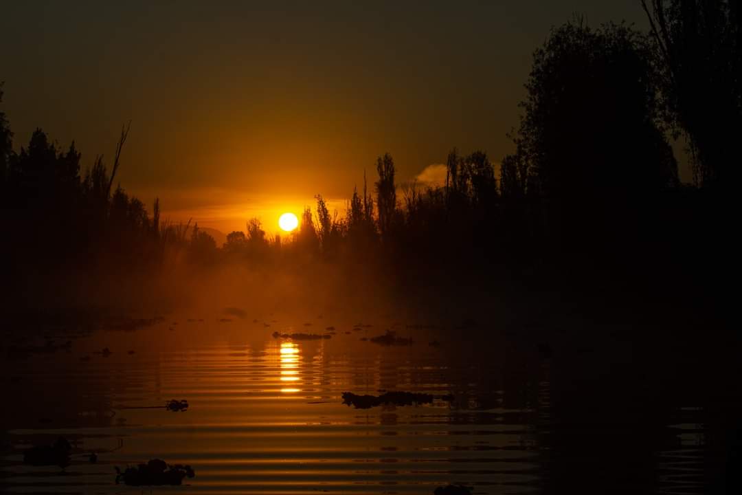 Lycaones's tweet photo. Amanecer en Xochimilco https://t.co/ljtEeQEbom