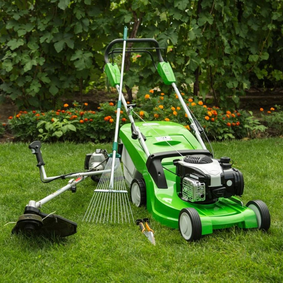 Getting your lawn looking lovely before the family arrives for the holidays is an important chore. If you have a bit too much on your to-do list this week, feel free to hand this task off to our team: (956) 478-6673.