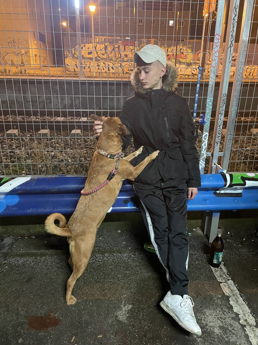 aarimoreeno's tweet photo. No bebo no fumo no hago na malos weir guardia solo se lo estaba sujetando a un kolega no te pongas tontoooooo JAAAAAAAAAAA mi perra corrobora mi testimonio puto perro del estado ( ella no, si no tu JAAAAJAJAJJAJA) https://t.co/JeaHd6jKQ8