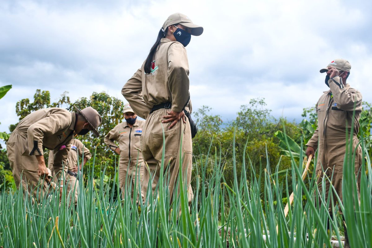 Con el programa Campo Emprende, <a href="/MinAgricultura/">Min. de Agricultura</a>, <a href="/CCI_Agro/">Corporación Colombia Internacional CCI</a> y <a href="/ECOPETROL_SA/">Ecopetrol</a> se suman con la Fundación PANACA para la formación de mujeres rurales y jovenes de nuestro país: próximamente 42 Técnicos Laborales Agropec, ejercerán liderazgo x sus comunidades en pro del dllo del campo.