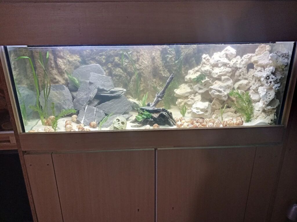 RDBFishing's tweet photo. Refonte complète d'un 240 ltrs... https://t.co/ScshcBobNV https://t.co/SdOwIMLVow