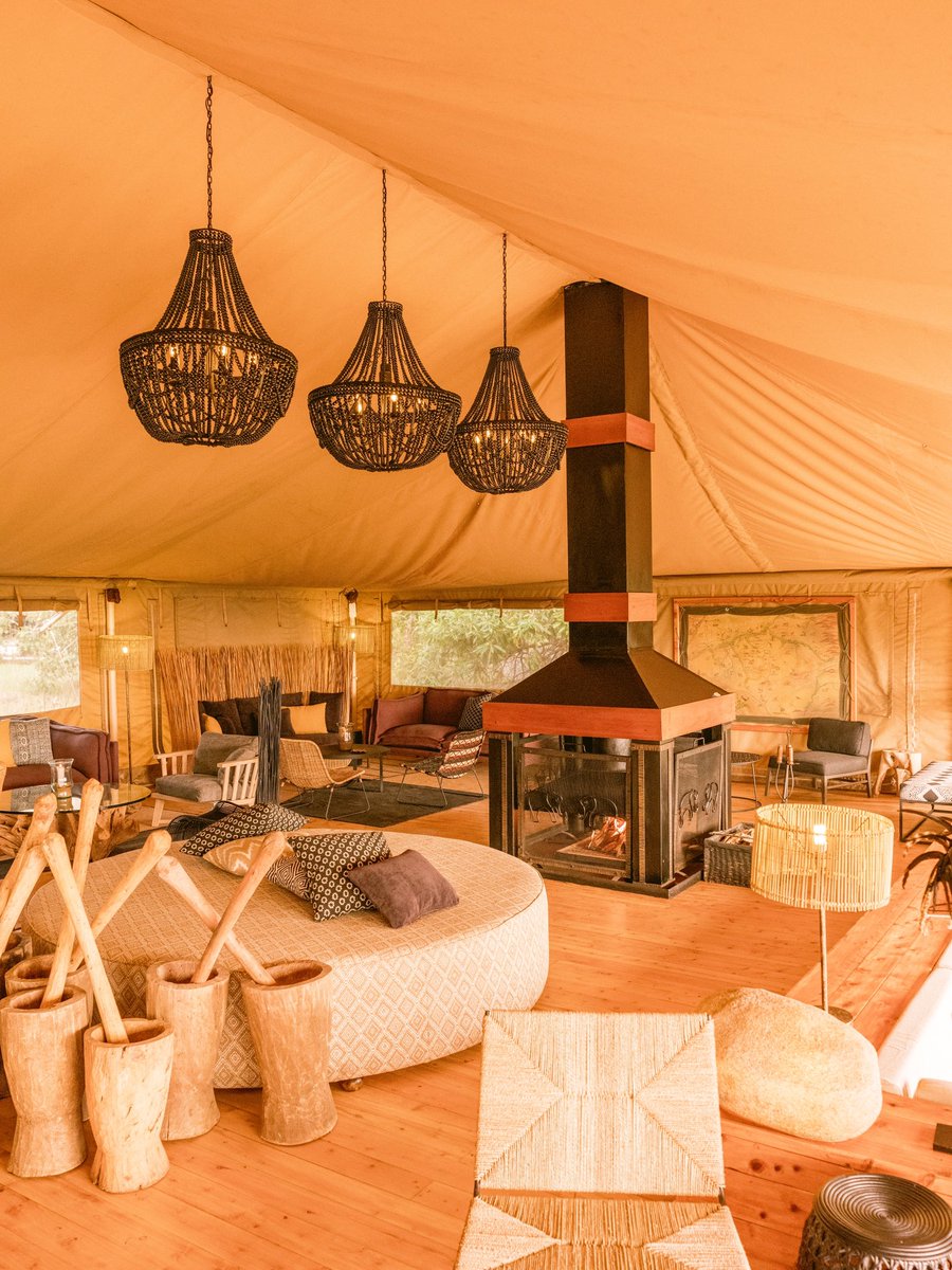 Bushtops Camps tweet media