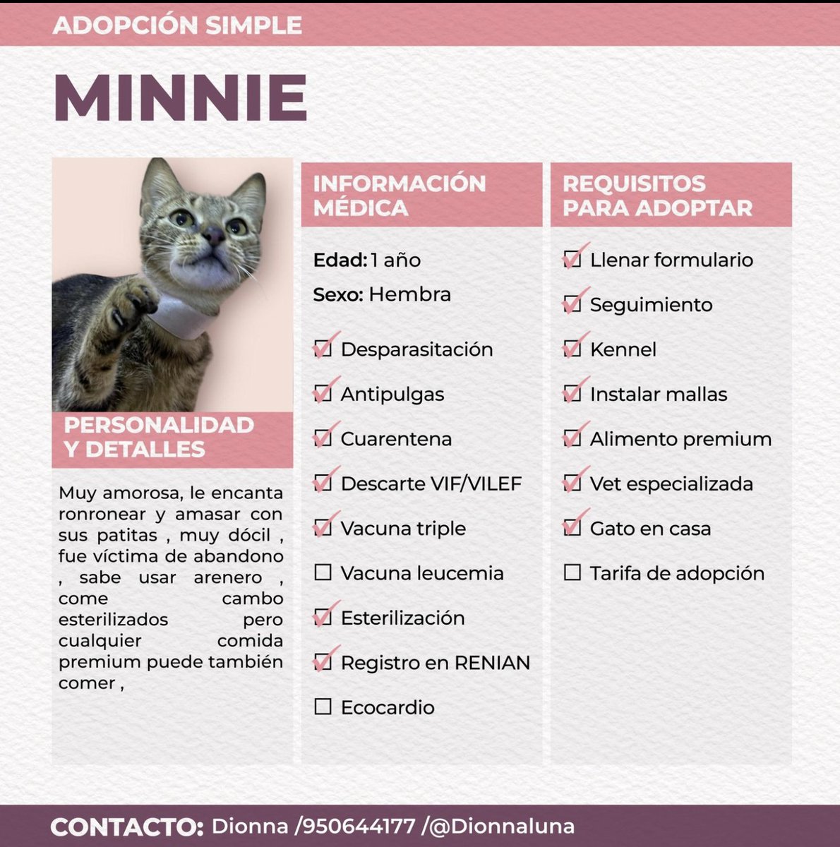 Adoptamiu tweet media