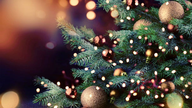 CDSustentable's tweet photo. ¿CÓMO AFECTA la NAVIDAD en el MEDIO AMBIENTE?. es una época del año muy importante para millones de personas, ya que esperan con anhelo y deseo la llegada de estas.
https://t.co/ay1MpjInFJ
#ChileDesarrolloSustentable
#DesarrolloSostenible
#Sostenibilidad
#CDSustentable https://t.co/9ritgSopAs