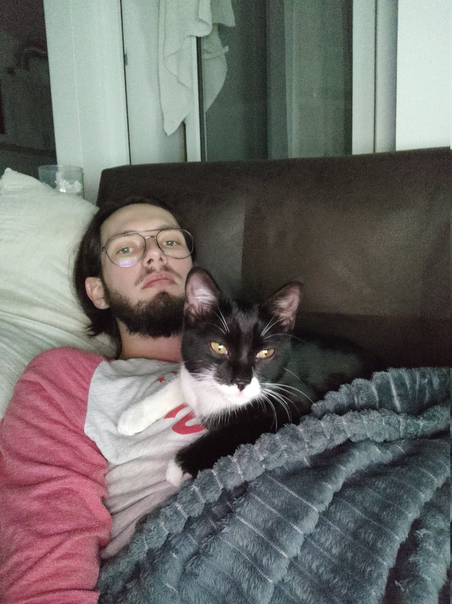 Ivan_Kaptoxa's tweet photo. все ещё котеночье. Носится, играет, ко всему тянется.

Мы понимали, что брать кошку = брать ответственность, но смотреть, как она дрожит в холодные дни у дождя не было сил.
Надеюсь, найдем дом ей, так как у нас постоянного дома ещё нет.
Если вы или знакомые искали коху, это шанс! https://t.co/WRCjdY92KX