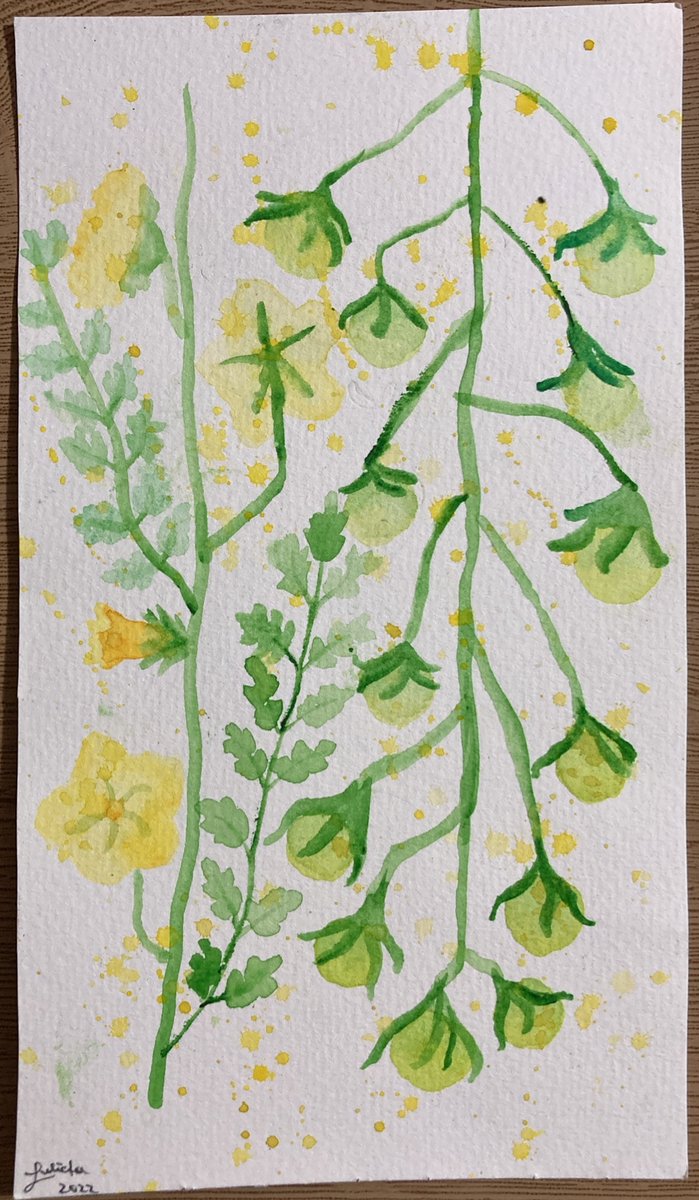 bio_omico's tweet image. Our paper, with Dr Kai Wei and @tellierlab about genomics of colonization stressful habitats around the Atacama in a wild tomato species, is out in @NewPhyt