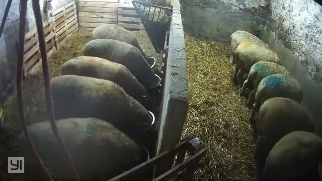 The Hunter Flock tweet media