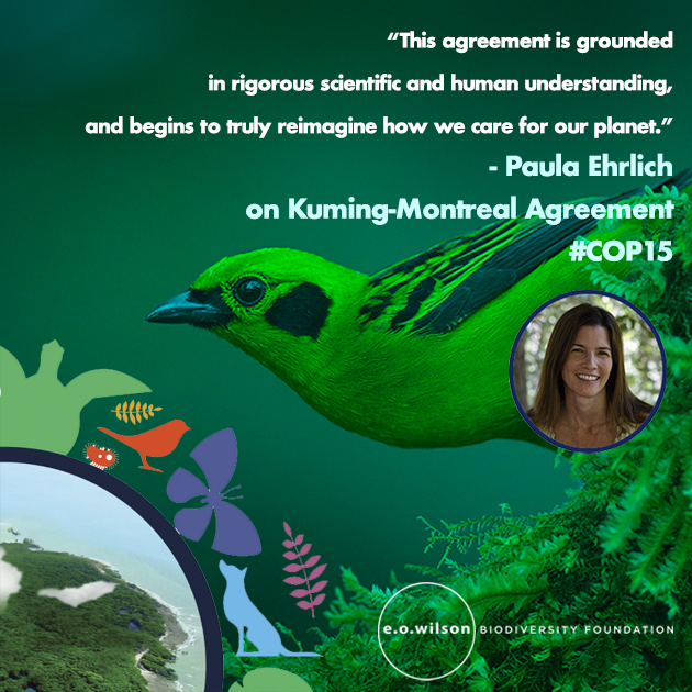 BREAKING: Historic #kunmingmontreal Agreement for nature:
🏦 landmark funding commitments
🤝 Respect for the rights of Indigenous Peoples and local communities
🦍 Areas we protect must be ecologically representative 
👉 Our statement bit.ly/3BMvEd4
#COP15
#biodiversity