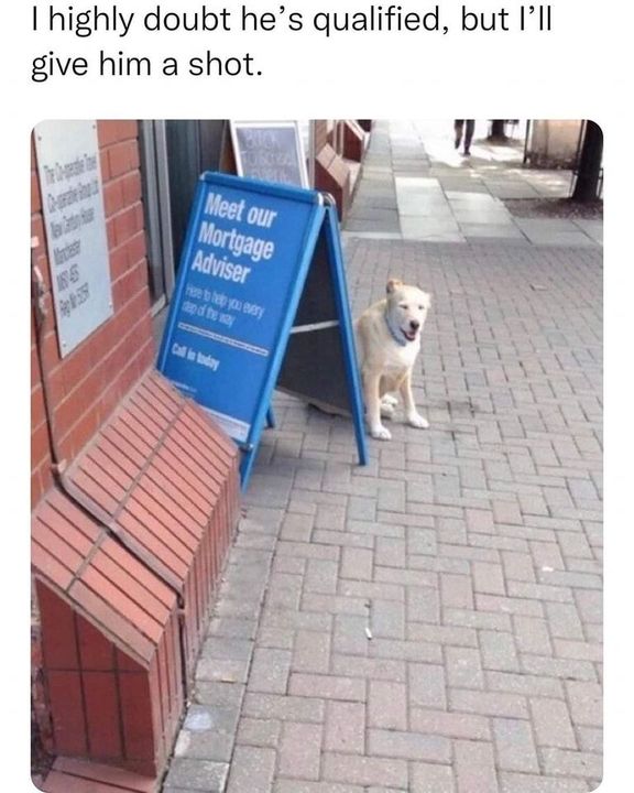 Jonna LaGrone-Haynes, Austin REALTOR® (@jonnajustsoldit) on Twitter photo 