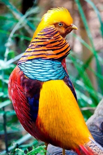 AmordAlma_'s tweet photo. beautiful colors😍💜 https://t.co/8BmmZnKPMo