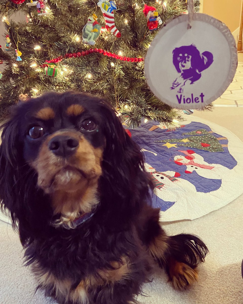 Lisa Becker tweet media