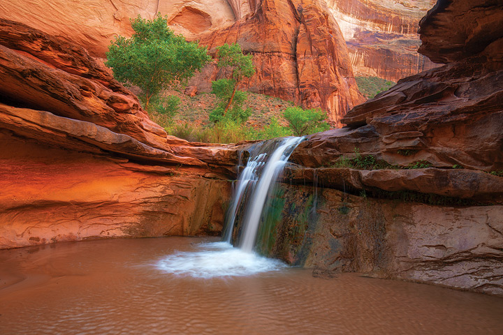 UtahLifeMag tweet picture