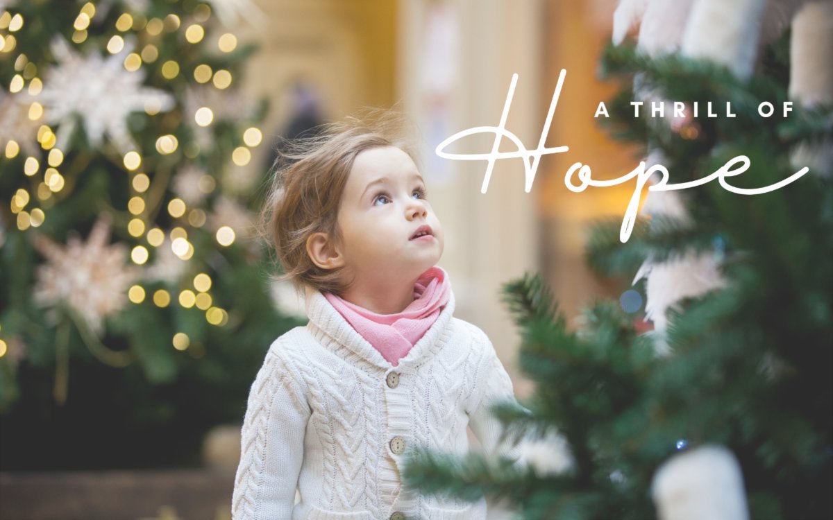 We need you this holiday season
conta.cc/3WcAKHE