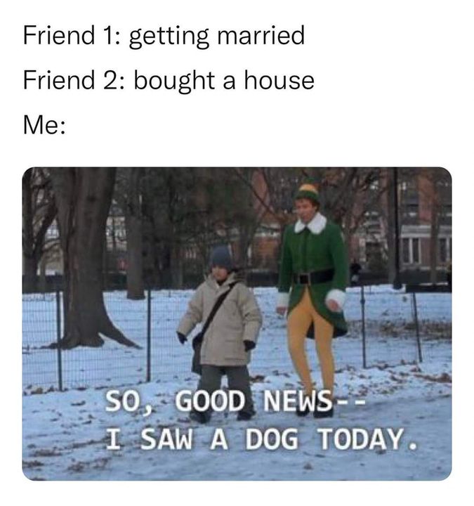 DeeDeeMcCracken's tweet image. 