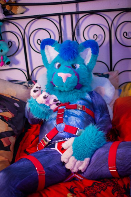 Want to join me in my bed? 😏  #murrsuitmonday #murrsuit #petsuit #catsuit https://t.co/OjgY8ckbeZ<a href="/tag/murrsuitmonday"class="tags">#murrsuitmonday</a><a href="/tag/catsuit"class="tags"><span>#catsuit</span></a><a href="/tag/murrsuit"class="tags"><span>#murrsuit</span></a><a href="/tag/petsuit"class="tags"><span>#petsuit</span></a>