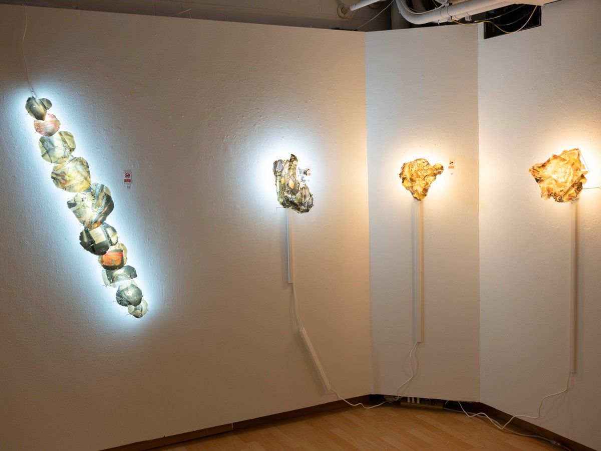 Target Gallery tweet media