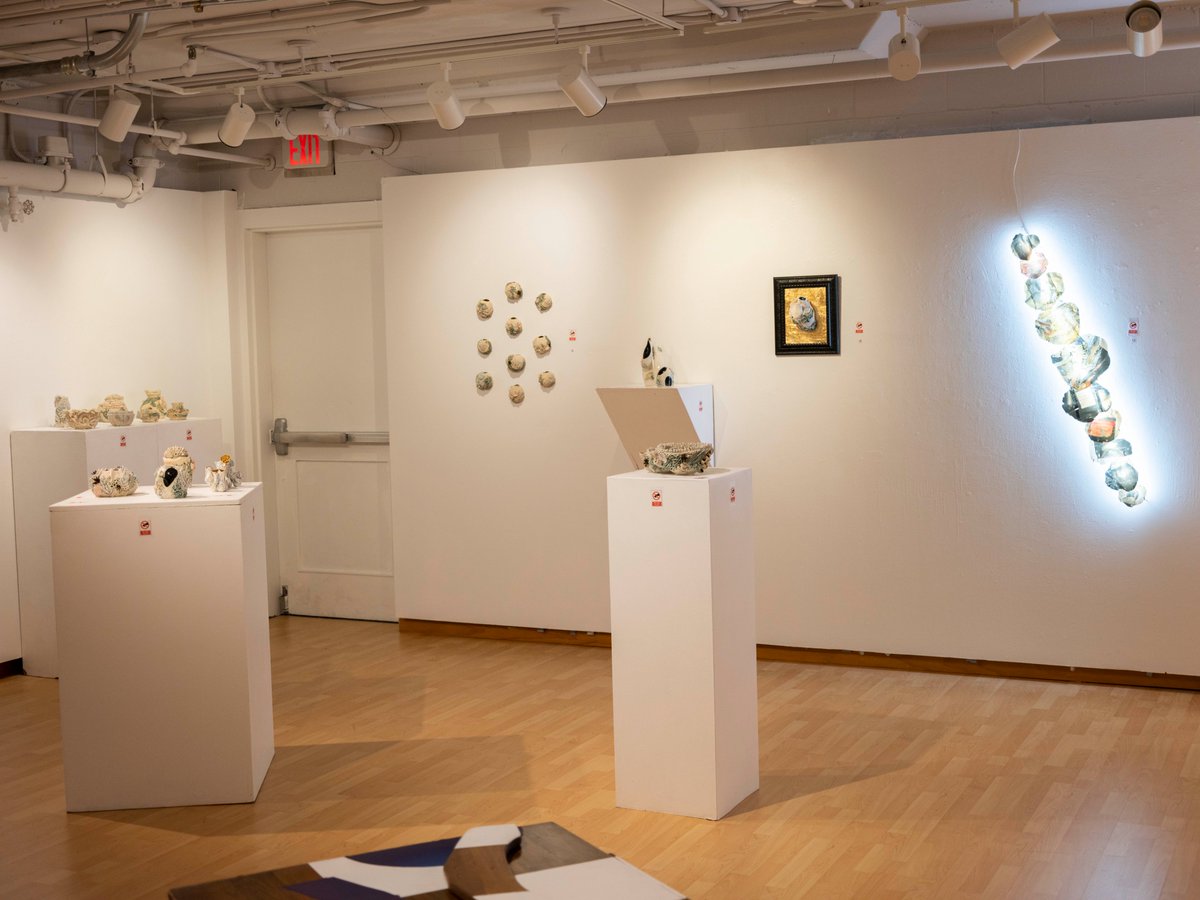 Target Gallery tweet media