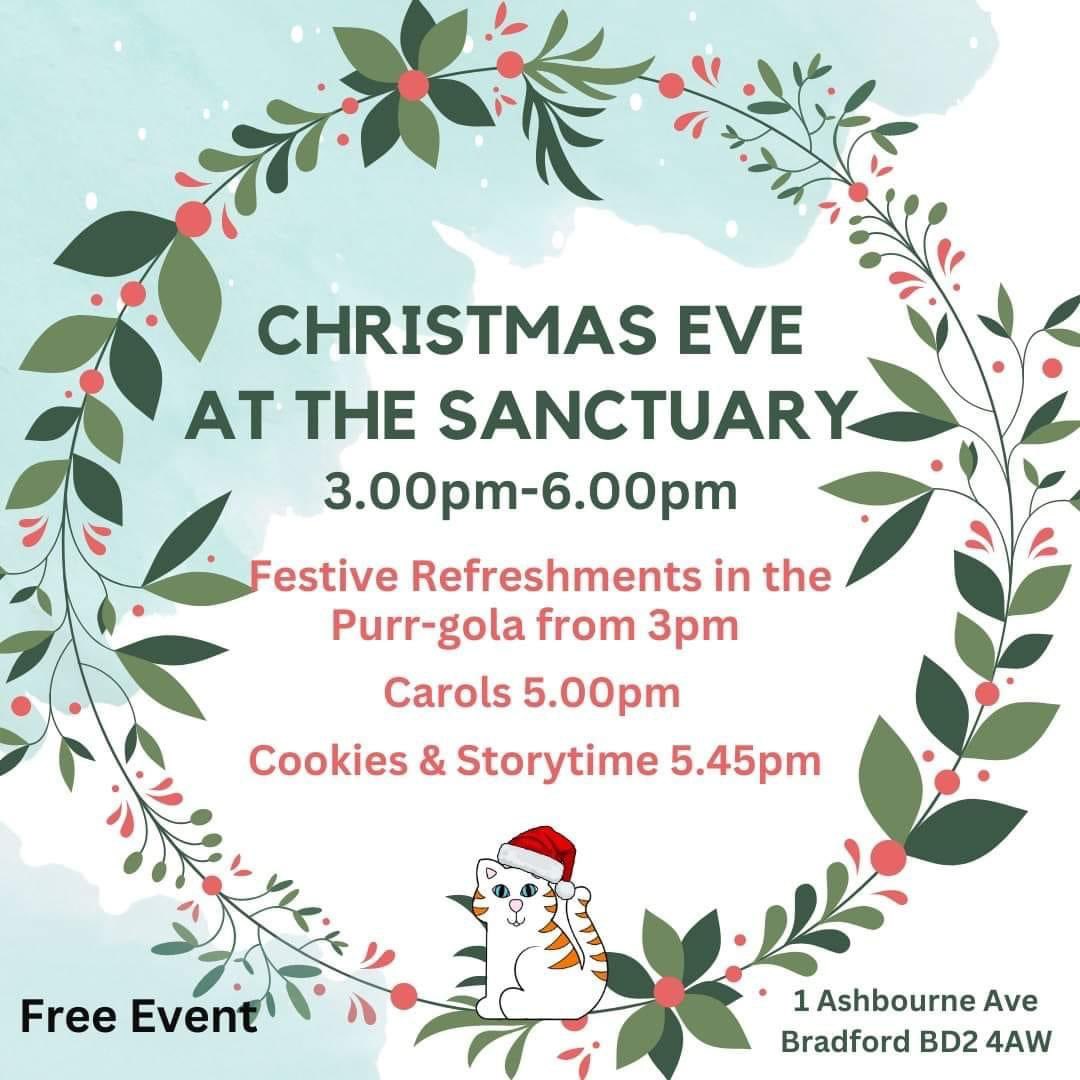 BCWRkittens's tweet photo. We have just had a  dress rehearsal  for our Cativity and Carols event on Christmas  Eve at Bradford Cat Watch Rescue and Sanctuary. 

This is the one and only time I will call my Mischief Maker Moped an Angel... https://t.co/jKDJP2WOsc