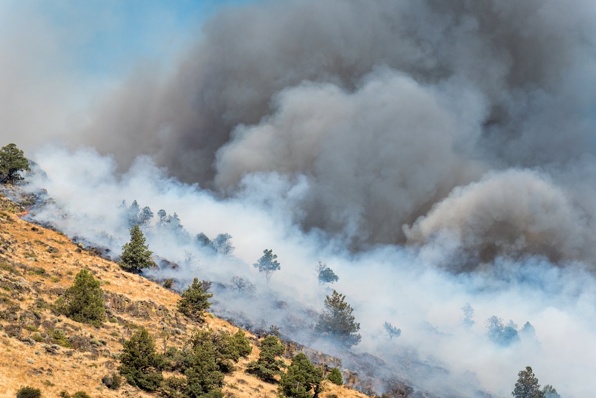 bouldercohealth's tweet photo. During a wildfire, if you can see or smell smoke, it is recommended that you avoid outdoor physical activities. If visibility is decreased in your neighborhood to less than five miles, smoke has reached levels that are unhealthy. #SunshineFire
https://t.co/HzxYGre28p https://t.co/hqESqHSrhU