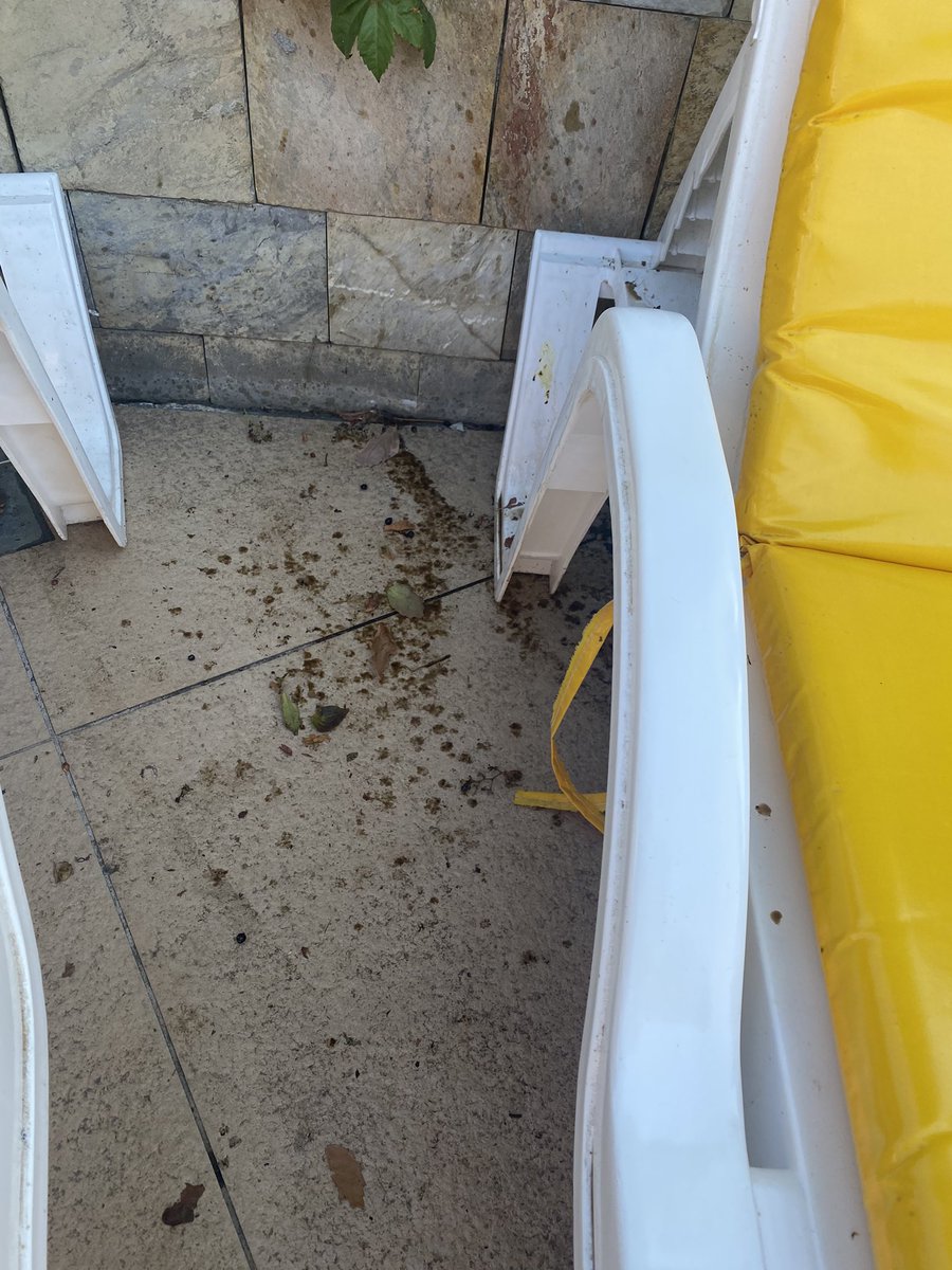 nikkil616's tweet photo. Absolutely disgusted by the customer service @jet2tweets complaints dpt. Logged a complaint with photos 30th of September to receive an e-mail today telling me my complaint was not factual as the hotel rep and management said so..please explain how photos can lie? https://t.co/C2xHEvJS8D