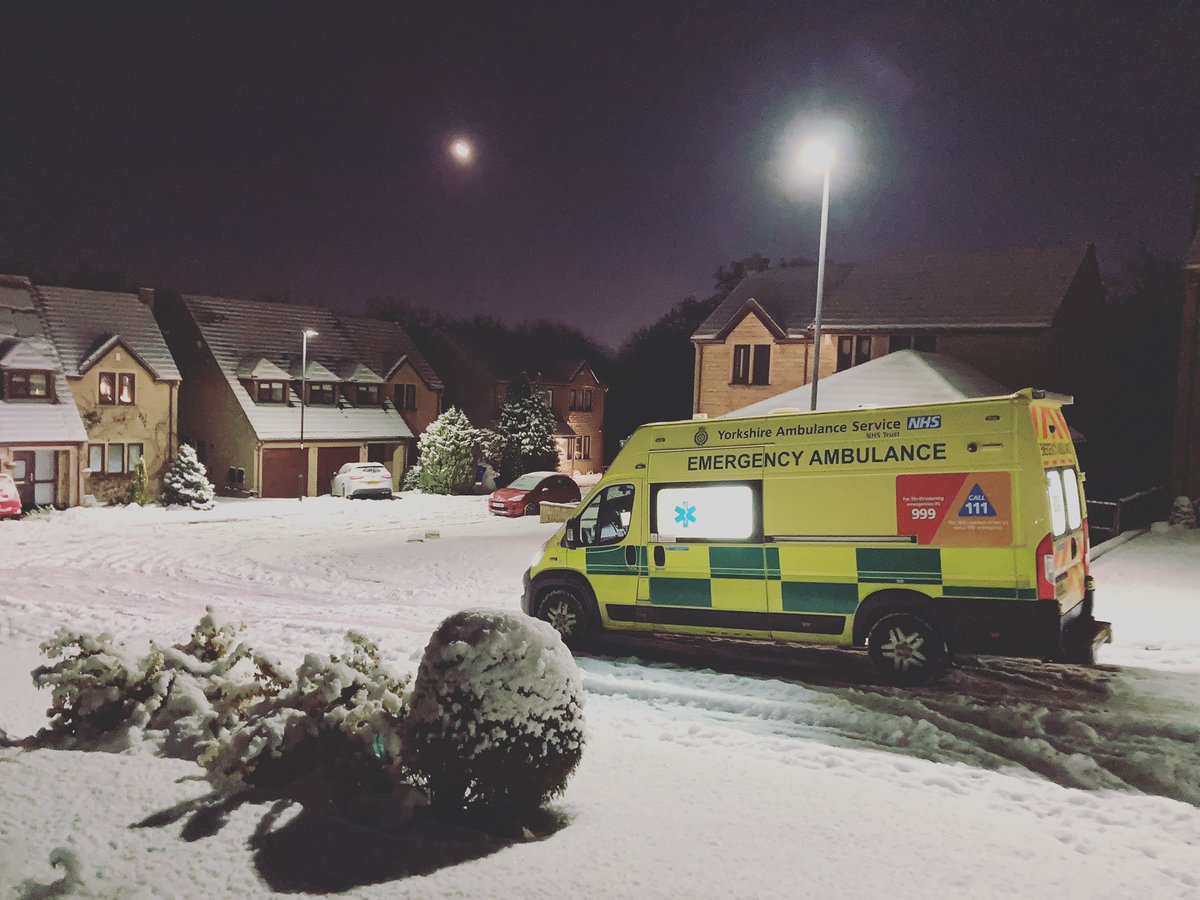 katepitfield tweet media