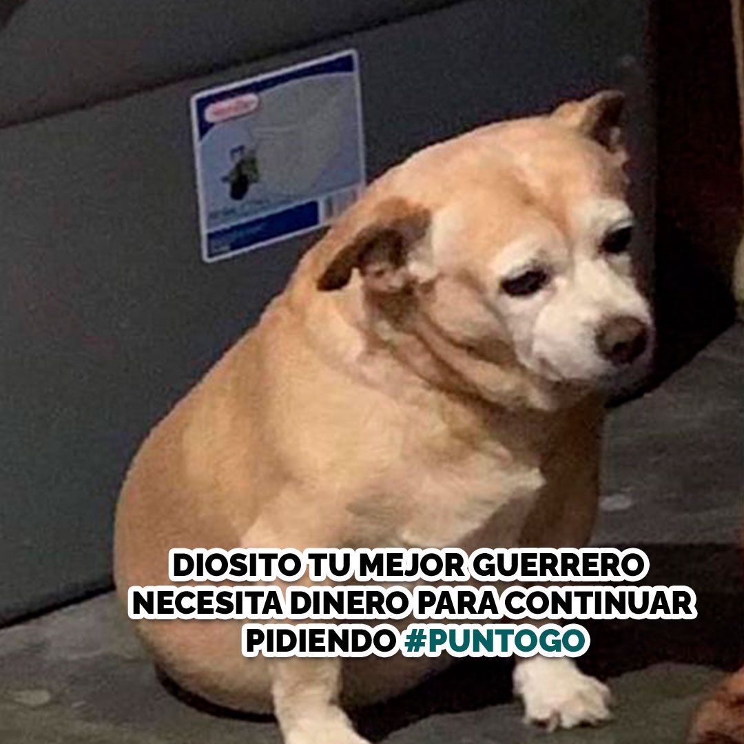 puntogove's tweet photo. Por favor Diosito quiero seguir disfrutando las promos de #PuntoGo https://t.co/lkEmasOv8r