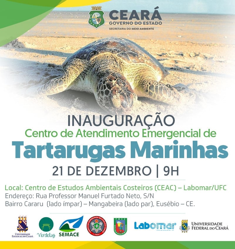 arturbruno's tweet photo. Ceará passa a contar com Centro de Atendimento Emergencial às Tartarugas Marinhas
Saiba mais: https://t.co/l1SAusLe5Z https://t.co/BVJ7ovGlIp