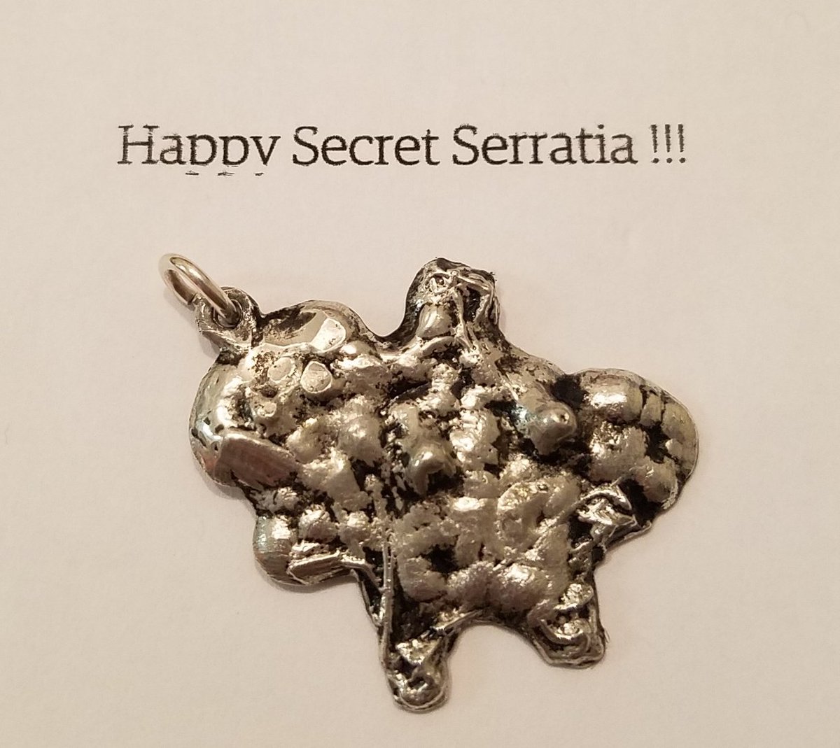 leigha_s's tweet photo. Pretty excited about my amoeba pendant! Always a fan of #microbiology #jewelry.Thank you #SecretSerratia!! 😁🎁 https://t.co/0f4IziCxUS