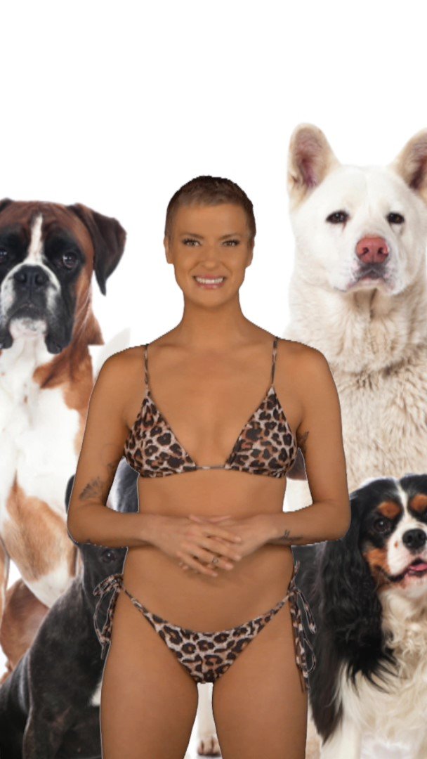Naked News on Twitter "MANY STATES ARE REPORTING OUTBREAKS OF DOG FLU