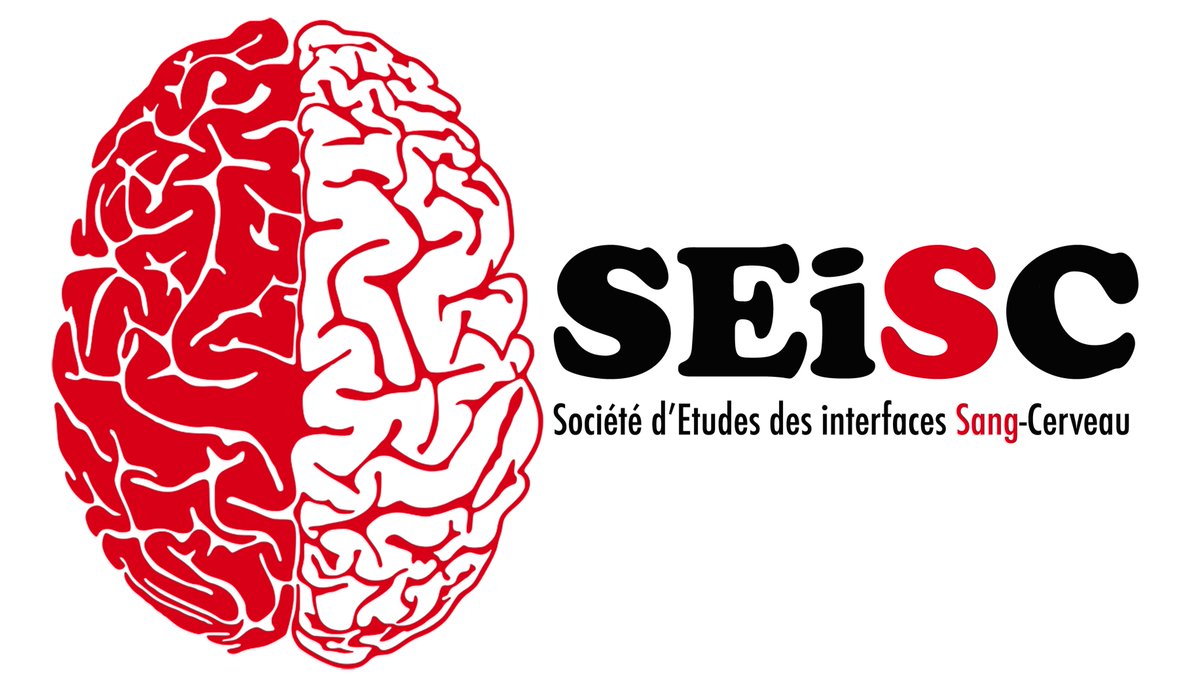 DrJulienStPol's tweet photo. Fier de devenir le nouveau Président de la Société d’Études des Interfaces Sang-Cerveau (SEISC), société française dédiée aux barrières cérébrales, pour les deux prochaines années !!!
Proud to become the new President of the French Society for the Study of blood-brain interfaces! https://t.co/Jgkx0Ob6HA