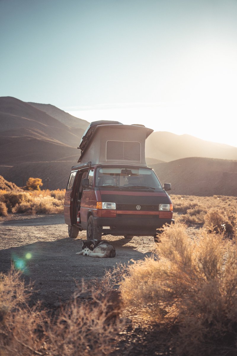 kiftlife's tweet photo. Gm 🌞

Hope everyone had a restful weekend and is feeling charged up for the week ahead! 🤗⚡🙌

📸 by @santekotturi 

#DogsofKift #vanlife #nomadism #campout https://t.co/NfJLgW5XG7
