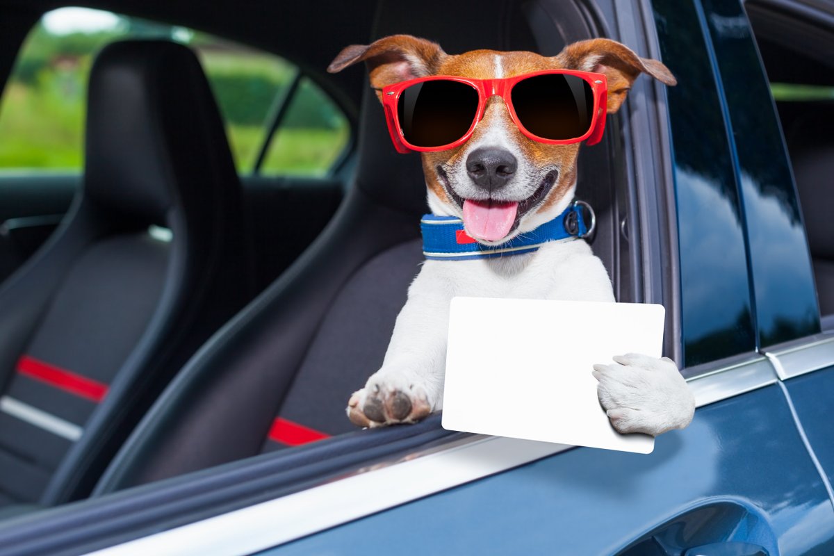 CoopersAutoWA's tweet photo. Just got my car serviced! https://t.co/UyQ3tZlHYn