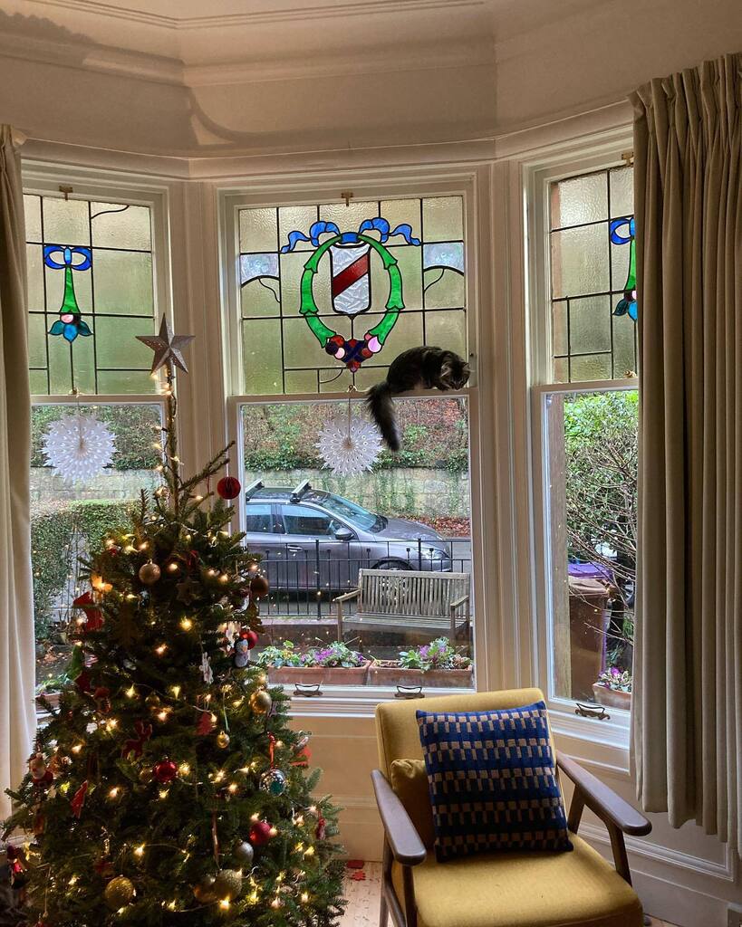 niallk40's tweet photo. Pepper eyeing up the tree from a jumping angle 😂 https://t.co/XpJgxtugCR https://t.co/28jxTJpPLM