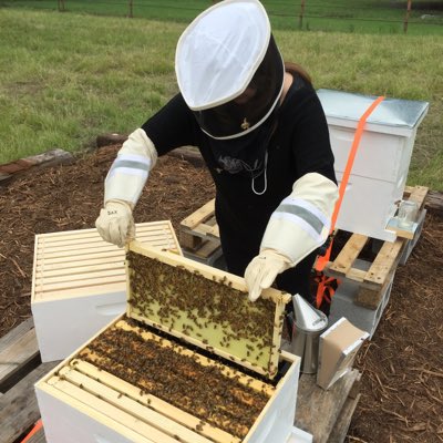 AmyCockerham5's tweet image. #NewProfilePic